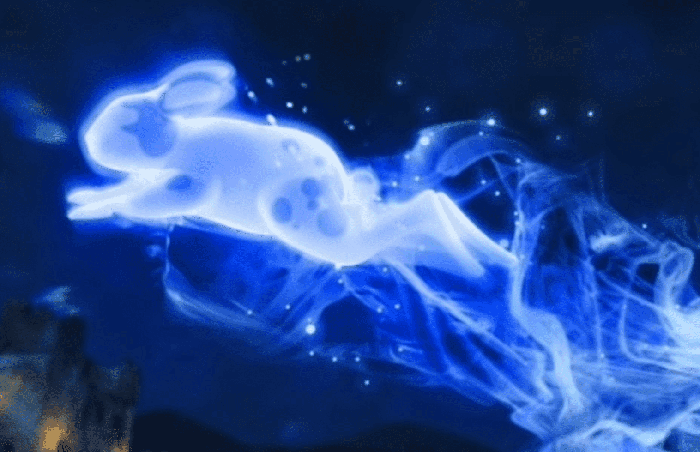Perché Piton E Lily Hanno Lo Stesso Patronus