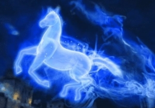 cavallo patronus