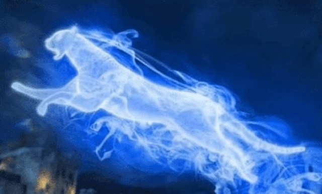 ghepardo patronus