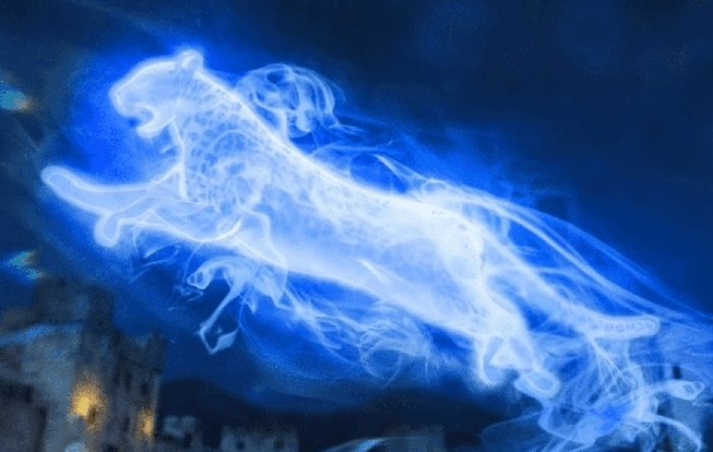 leopardo patronus