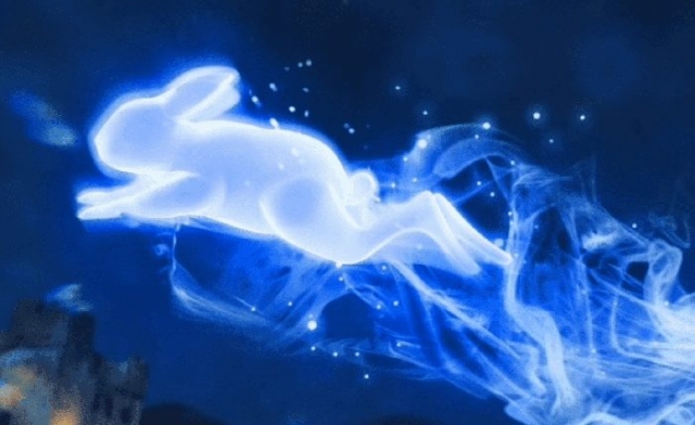 lepre patronus