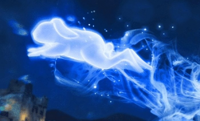 lepre di montagna patronus